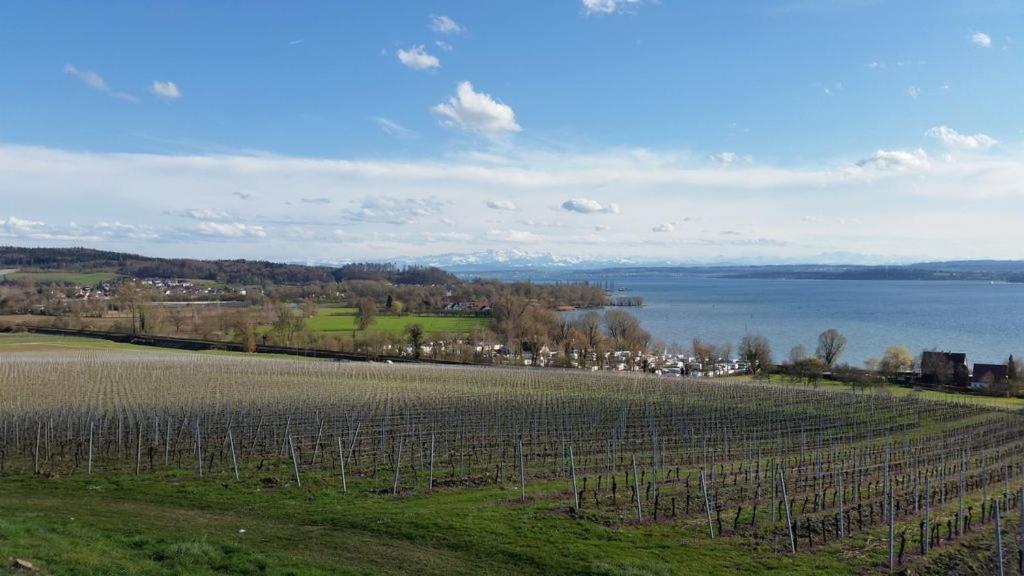 Ferienwohnung Treibgut Uhldingen-Mühlhofen Exteriör bild